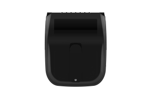 Rongta RPP-30 1
